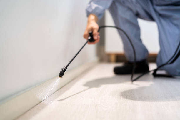 Licensed Fumigation Services service in Lamoni, IA - Nex Pest Control