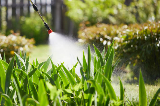24/7 Emergency Fumigation Services experts in Lamoni, IA